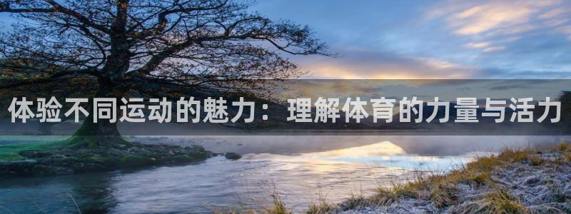vsport体育在线官网