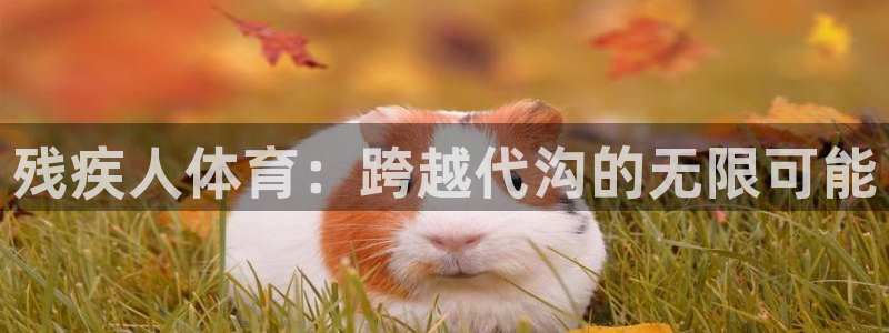 vsport体育在线官网：残疾人体育：跨越代沟的无限可能