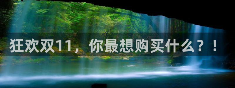 vsport体育在线官网：狂欢双11，你最想购买什么？！
