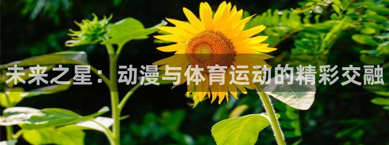 vsport体育在线官网：未来之星：动漫与体育运动的精彩交融
