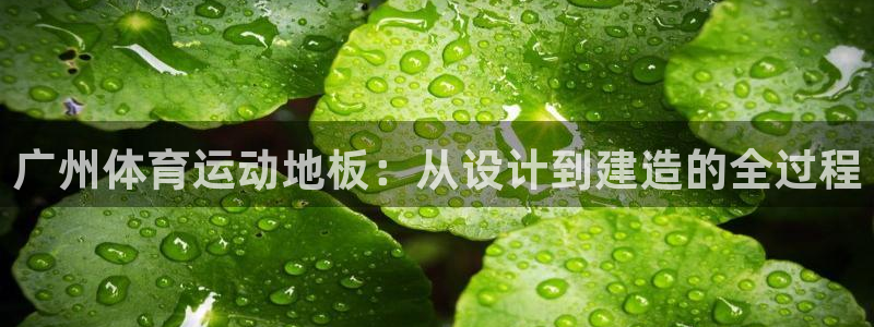 vsport体育在线官网：广州体育运动地板：从设计到建造的全过程