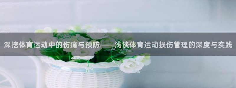 vsport体育