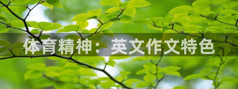 vsport体育