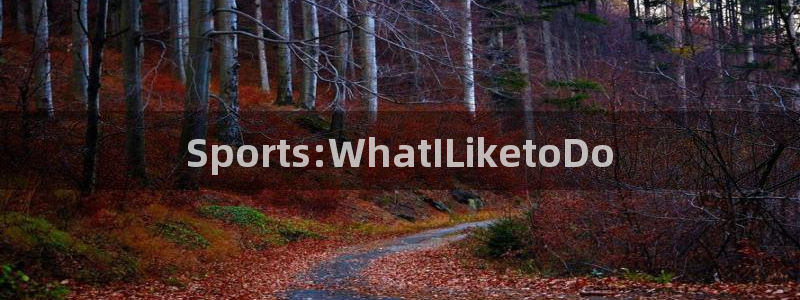 vsport体育在线官网：Sports:WhatILiketoDo
