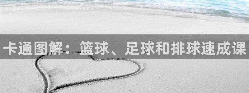vsport体育在线官网：卡通图解：篮球、足球和排球速成课