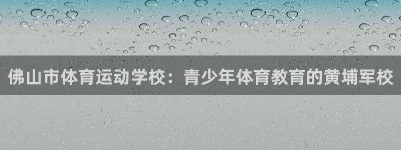 vsport体育