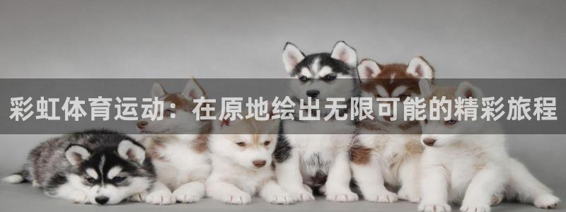 vsport体育：彩虹体育运动：在原地绘出无限可能的精彩旅程