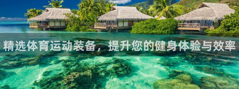 vsport体育在线官网：精选体育运动装备，提升您的健身体验与效率