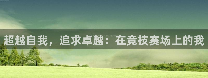 vsport体育在线官网：超越自我，追求卓越：在竞技赛场上的我