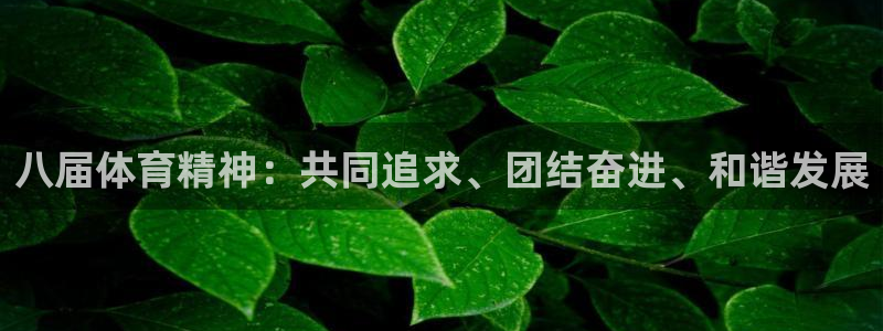 vsport体育：八届体育精神：共同追求、团结奋进、和谐发展